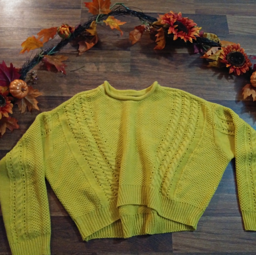 Charlotte Russe crop sweater